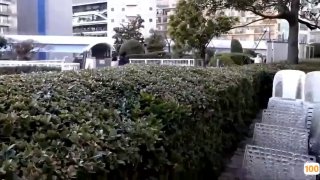 年轻可爱嫩妹主播小熊软糖肛塞塞菊花 跳蛋插骚穴